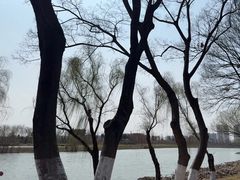 -七桥瓮公园
