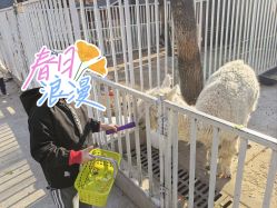 -蓝可可亲子乐园(北苑店)