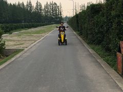 -前小桔亲子创意农场·草莓采摘·露营烧烤