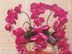 餐具摆设-阿琴面馆(武林路店)