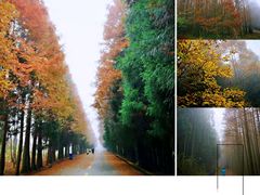 -山王坪喀斯特国家生态公园