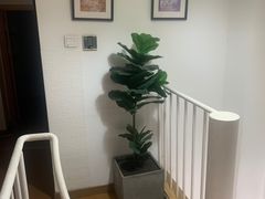 -红像馆连锁精致证件照职场照(中关村店)