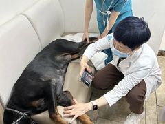 -美联众合动物医院·24h转诊中心