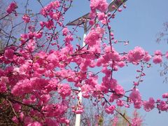 android_upload_pic-灵溪风景区