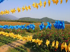 -北京索菲亚花海影视基地