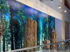 -延庆地质公园博物馆