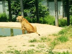 iphone_upload_pic-西安秦岭野生动物园