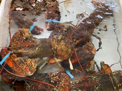 -南沙十九涌渔人码头-南门