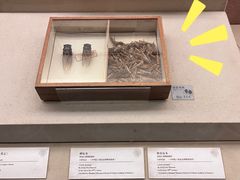 -土山湾博物馆