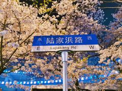 -上海南浦大桥长途旅游客运站