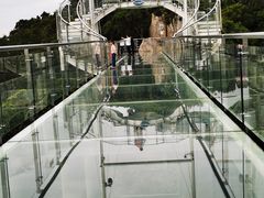 -三亚亚龙湾人间天堂鸟巢度假村