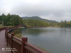 -海南热带雨林国家公园吊罗山景区