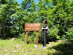 -秦岭风景区