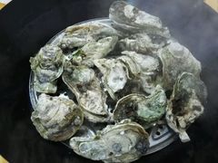 -蚝专家(北滘店)