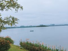 -星巴克(成都科学城店)