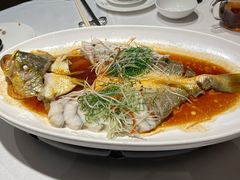 大黄鱼-山东老家(黄埔分店)