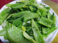 -OLD TREE老树咖啡·西餐厅(台山人工湖店)