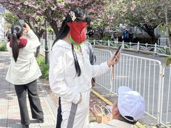 -嘉定紫藤园