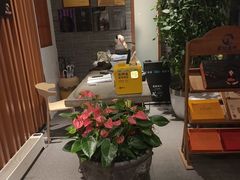 -丹江渔村(望京店)