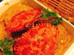 -茉莉.Red Crab