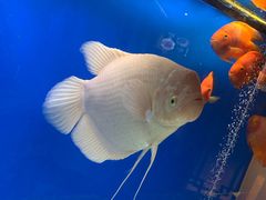 -宁海食府(大剧院店)
