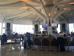 -罗纳德·里根华盛顿国家机场