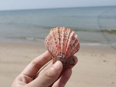 -那香海钻石沙滩浴场
