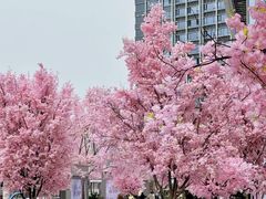 -首开·龙湖成都西宸天街