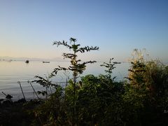 -上海市保健医疗中心