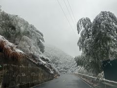 -安吉龙王山风景区