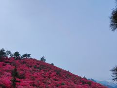 -木兰云雾山