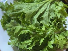 -银同牦牛肉火锅