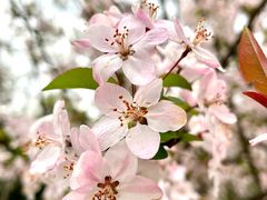 -桤木河湿地公园