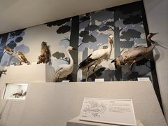 -舟山博物馆
