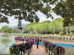 -上海鲜花港