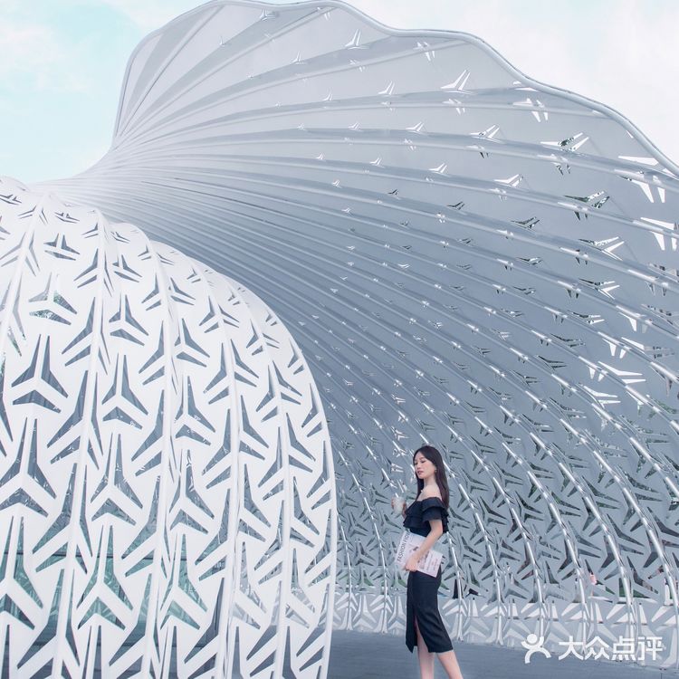 解锁鹦鹉螺｜开启有光的生活