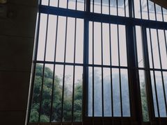 -广西大学(大学东路校区)