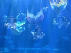 -华夏文旅海洋公园