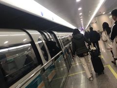 -龙阳路磁悬浮列车总站-停车场