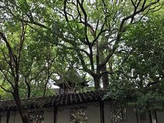 -西园寺素食(西园弄戒幢律寺店)