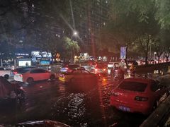 -蒲黄榆(地铁站)