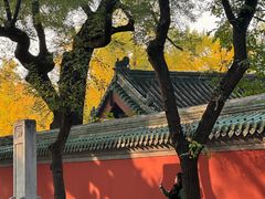 -北京国子监胡同