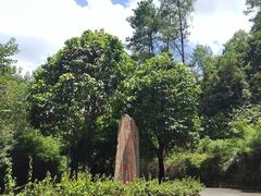 -白云山风景名胜区
