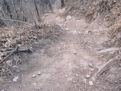 -北京西山国家森林公园