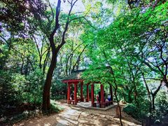 -西湖风景区十里琅珰-五云山