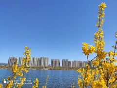 -永定河休闲森林公园