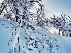 -鳌山滑雪度假区