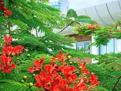 -缘生态云南菜·野生菌庭院餐厅(华侨城店)