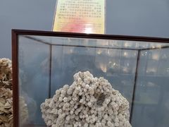 -游龙石文化科普馆
