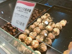 -都恩客(高岛屋百货店)